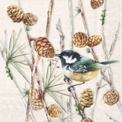 Bird On Branch Winter Pinecone Branch Paper Cocktail Napkin Pack