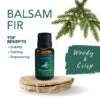 Balsam Fir Essential Oil 15 Ml By Airome'