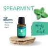Spearmint Essential Oil 15 Ml By Airome'