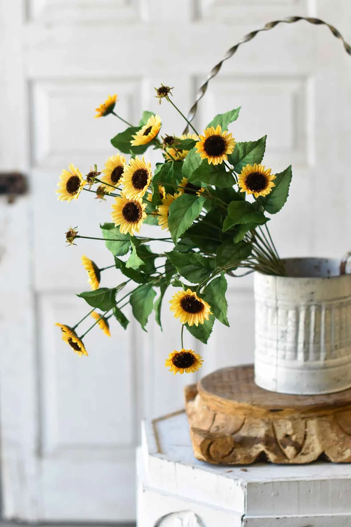 Sunrush Daisy Bush, Yellow, 22"