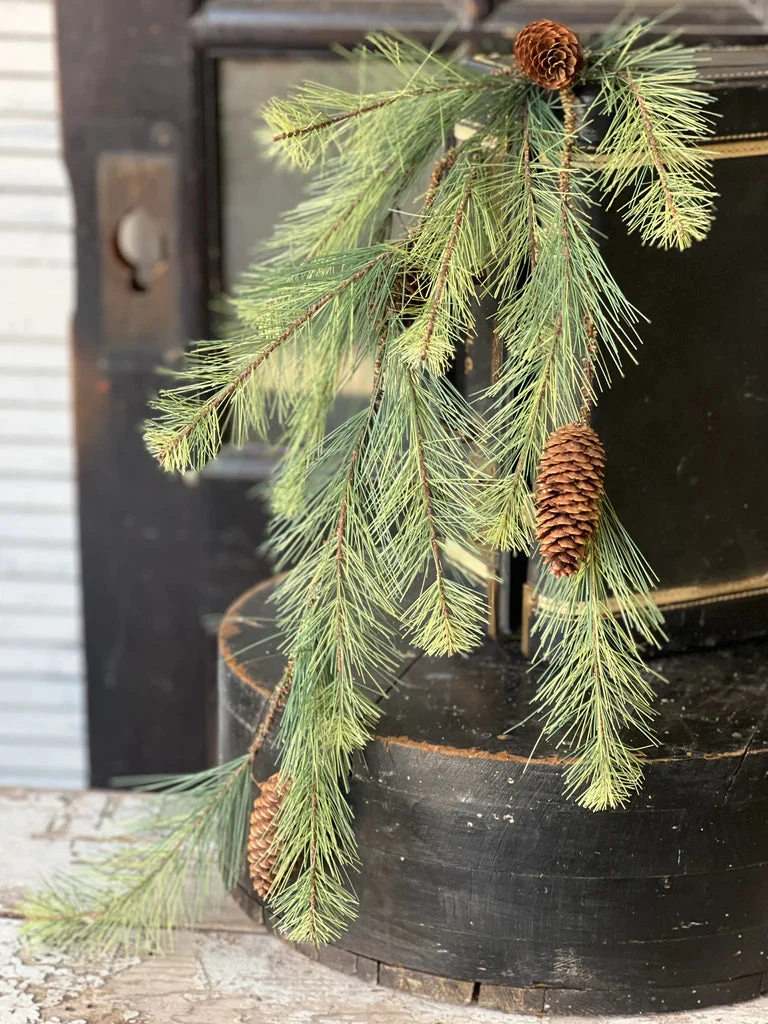 Black Valley Hanging Pine Vine, 30"