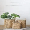 Water Hyacinth Basket With Handles, 3 Size Options