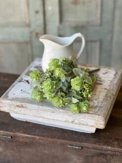 Summer Psalm Bush, Green, 11β